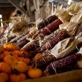 Neltner's Farm photo