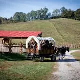 Neltner's Farm photo
