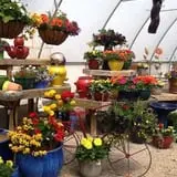 Borzynski's Farm & Floral Market photo