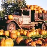 Borzynski's Farm & Floral Market photo