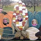 Borzynski's Farm & Floral Market photo