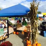 Borzynski's Farm & Floral Market photo