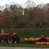 Wood Orchard Market photo