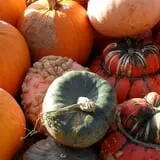 Wood Orchard Market photo