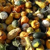 Wood Orchard Market photo