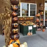 Wood Orchard Market photo