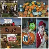 Wood Orchard Market photo