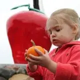 Wood Orchard Market photo