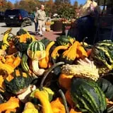 Wood Orchard Market photo