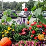Wood Orchard Market photo