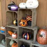 Wood Orchard Market photo