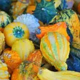 Wood Orchard Market photo