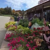 Wood Orchard Market photo