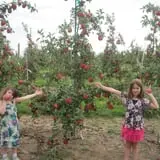 Wood Orchard Market photo