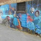 Chicken Alley photo