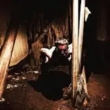Hobb's Grove photo
