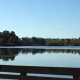 Beaver Lake photo