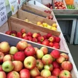 Stone Ridge Orchard photo