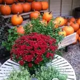Stone Ridge Orchard photo
