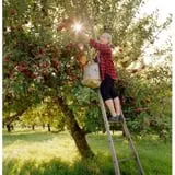Stone Ridge Orchard photo