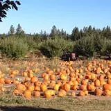 Walters' Fruit Ranch photo