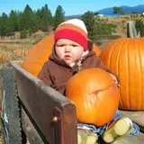 Walters' Fruit Ranch photo