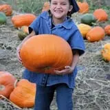 Walters' Fruit Ranch photo
