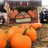 Walters' Fruit Ranch photo