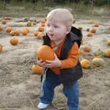 Walters' Fruit Ranch photo