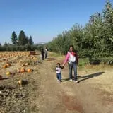 Walters' Fruit Ranch photo
