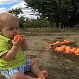 Walters' Fruit Ranch photo
