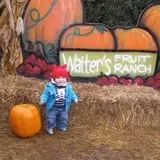 Walters' Fruit Ranch photo
