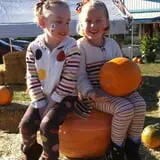Walters' Fruit Ranch photo