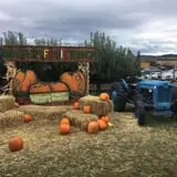 Walters' Fruit Ranch photo