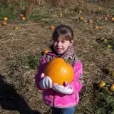 Walters' Fruit Ranch photo