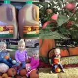 Walters' Fruit Ranch photo