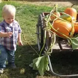 Walters' Fruit Ranch photo