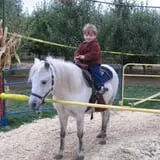 Walters' Fruit Ranch photo