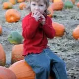 Walters' Fruit Ranch photo