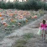 Walters' Fruit Ranch photo