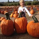 Walters' Fruit Ranch photo