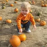 Walters' Fruit Ranch photo