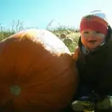 Walters' Fruit Ranch photo