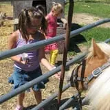 Walters' Fruit Ranch photo