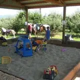 Walters' Fruit Ranch photo