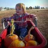 Walters' Fruit Ranch photo