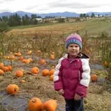 Walters' Fruit Ranch photo