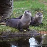 Zoo Boo at NEW Zoo photo
