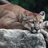 Zoo Boo at NEW Zoo photo