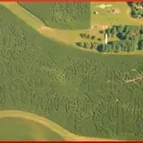 Creekbed Country Farmacy Corn Maze photo